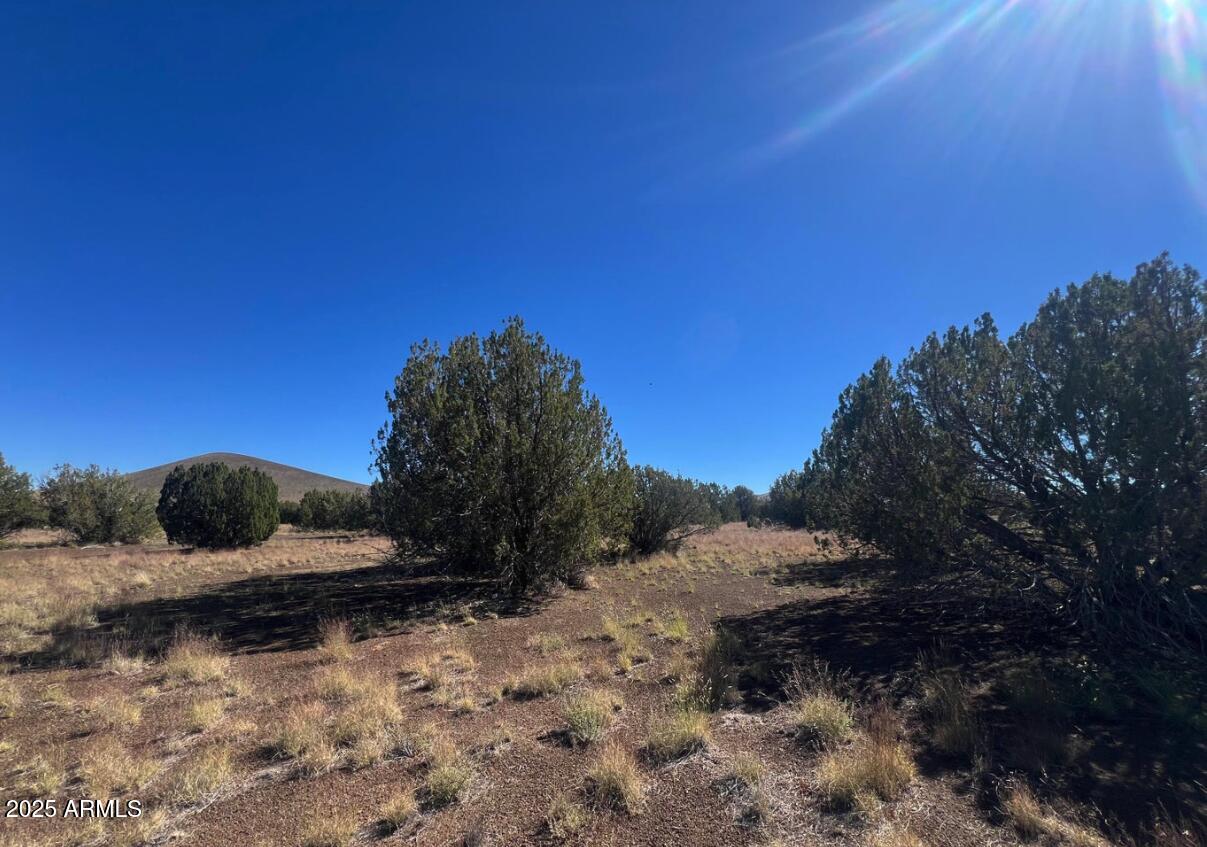 6 Leupp Road Flagstaff, AZ 86004 - Photo 2 of 4 a view of a yard with wooden fence
