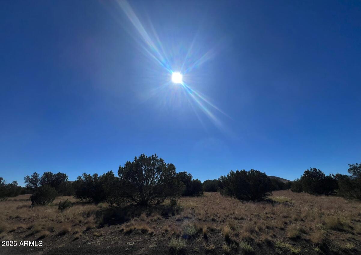 6 Leupp Road Flagstaff, AZ 86004 - Photo 3 of 4