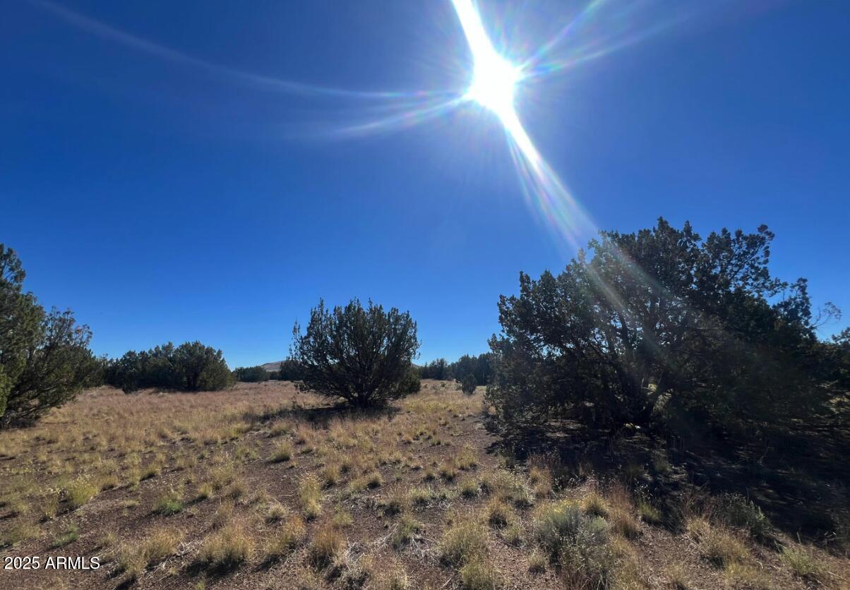 6 Leupp Road Flagstaff, AZ 86004 - Photo 4 of 4 a view of a pathway
