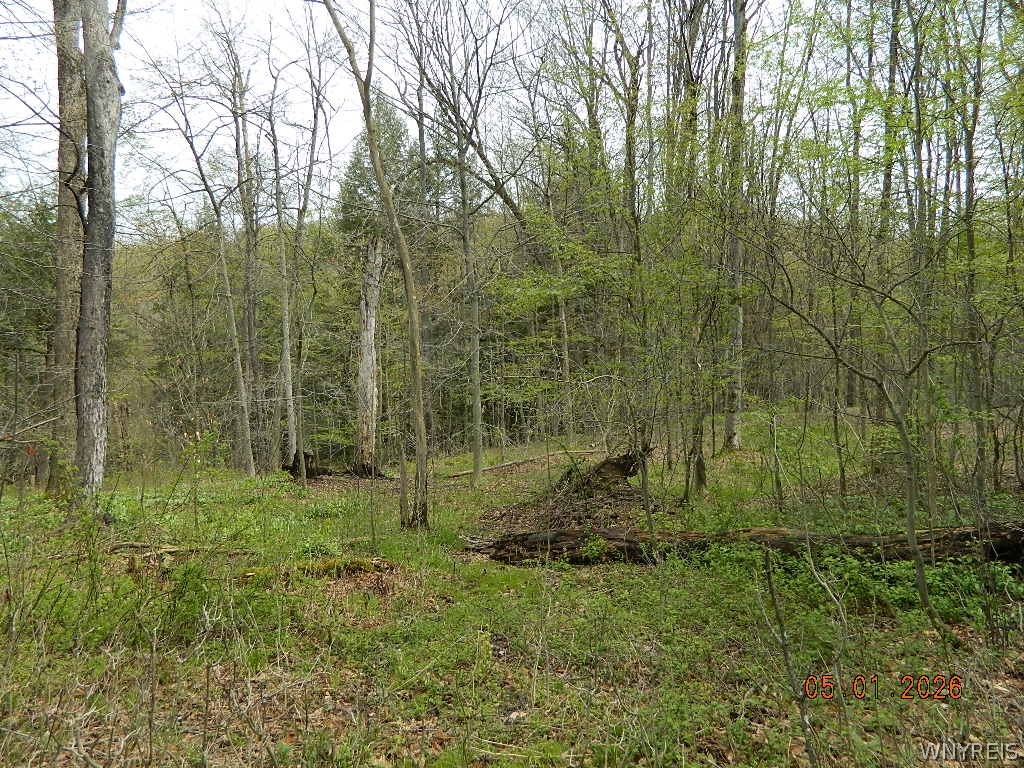 9999 Olean Road Holland, NY 14080 - Photo 9 of 28