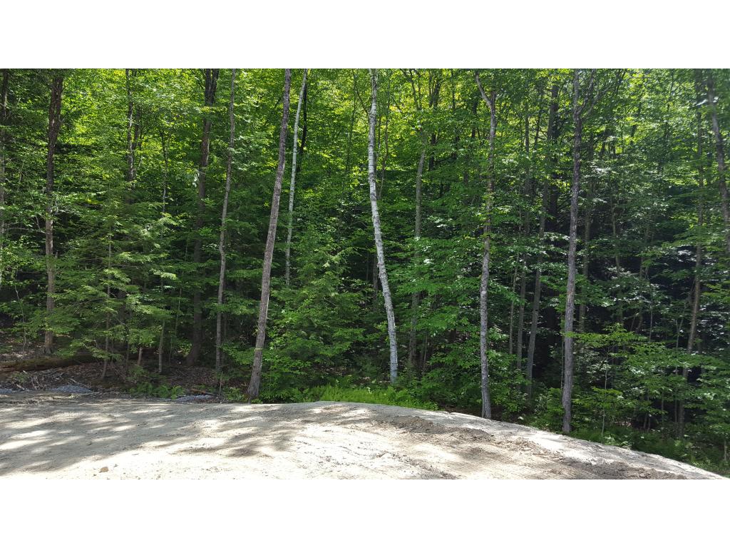 4 D Carter Mountain Road New Hampton, NH 03256 - Photo 10 of 18