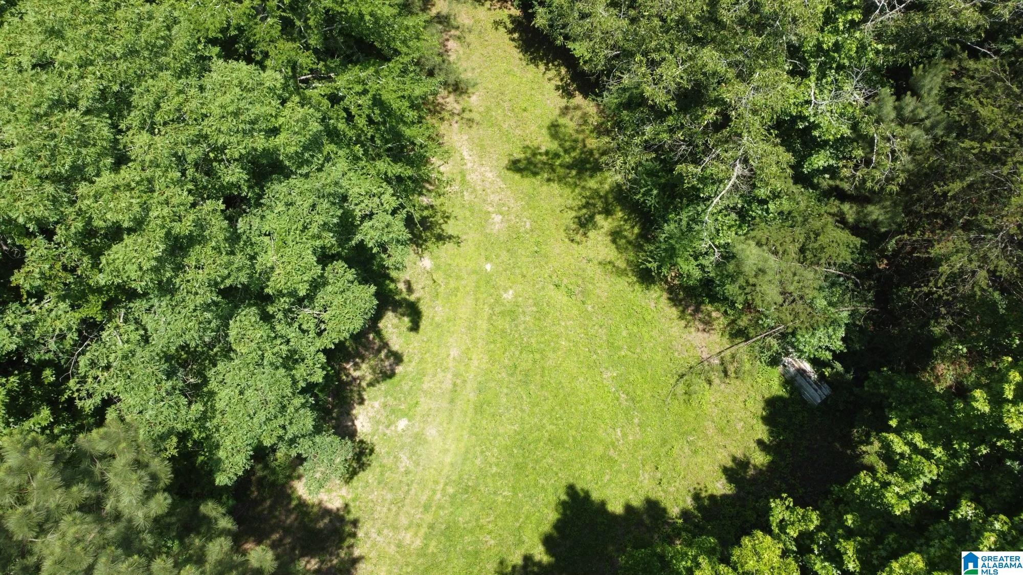 1034 Bob Glenn Road Morris, AL 35116 - Photo 57 of 60
