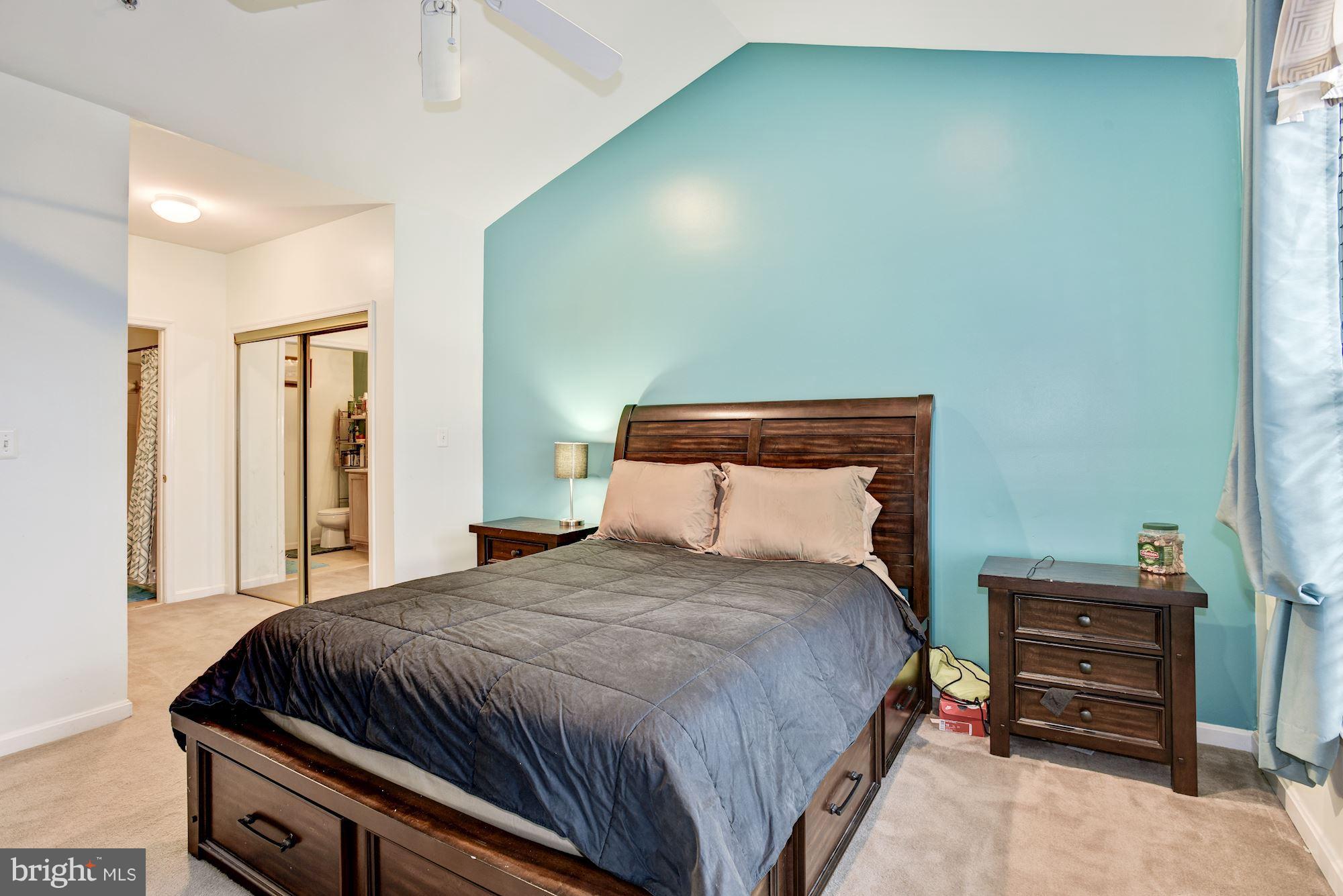 57 Hawk Rise Lane, Unit 304 Owings Mills, MD 21117 - Photo 9 of 17 Master Suite