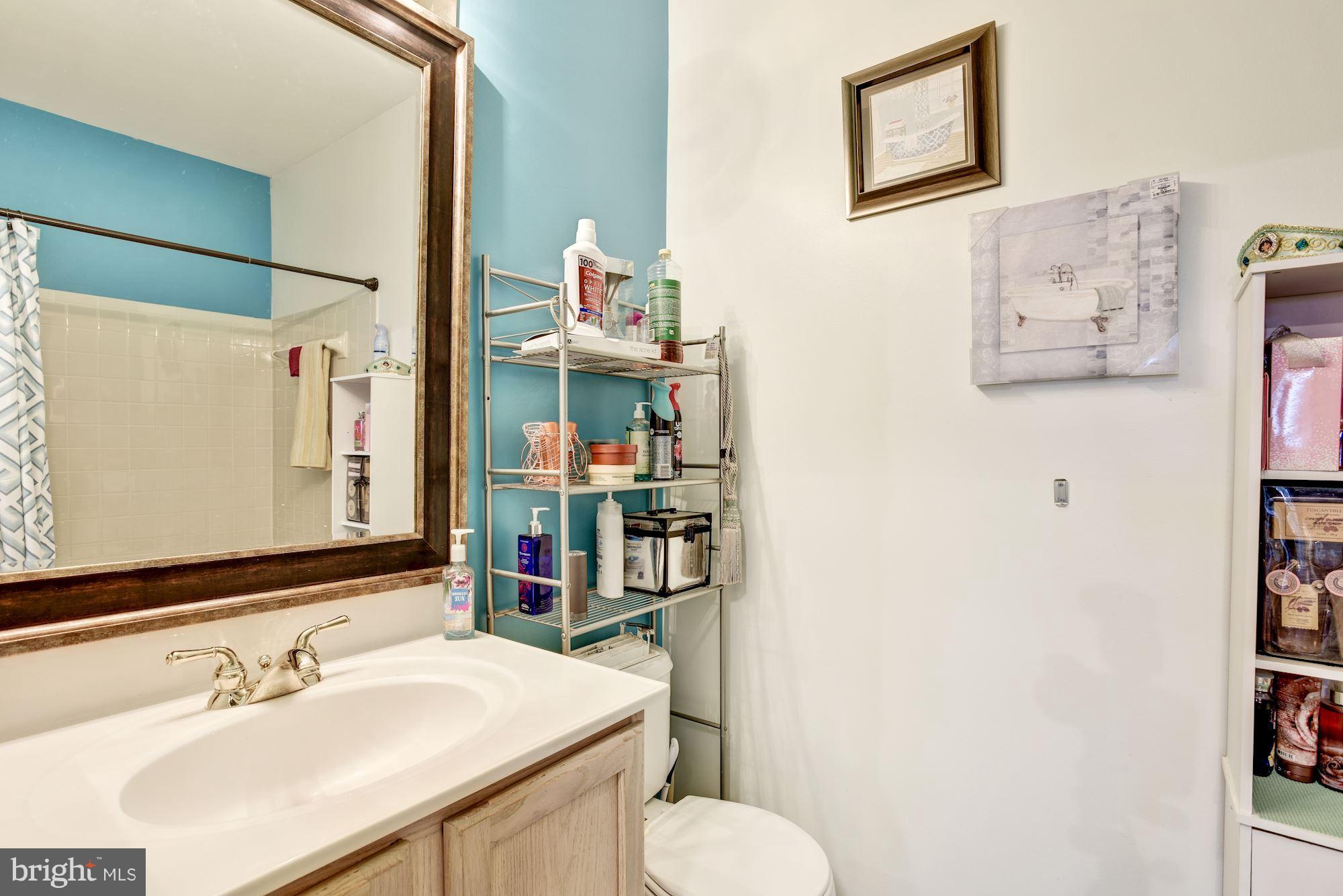 57 Hawk Rise Lane, Unit 304 Owings Mills, MD 21117 - Photo 10 of 17 Master Suite Bath