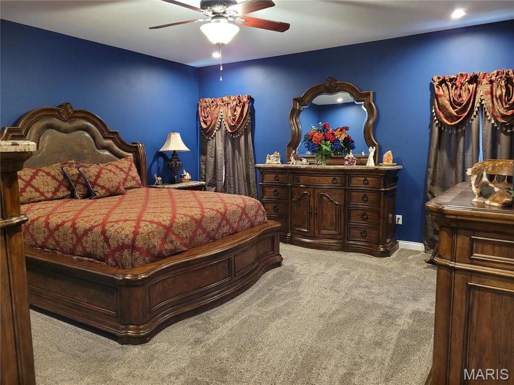 10359 Bounds Road Shipman, IL 62685 - Photo 20 of 56