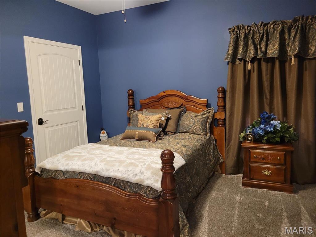 10359 Bounds Road Shipman, IL 62685 - Photo 26 of 56