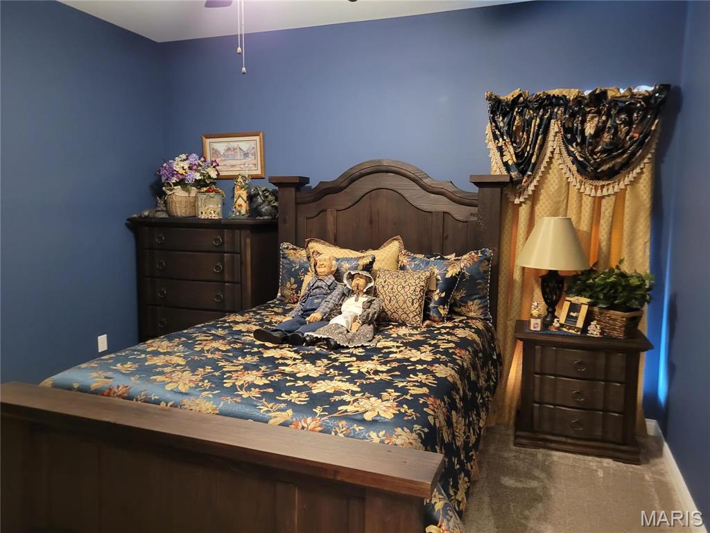 10359 Bounds Road Shipman, IL 62685 - Photo 27 of 56