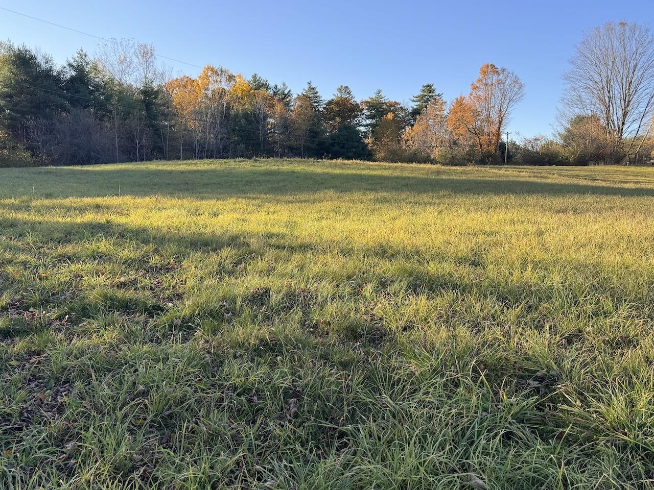 821 Highway 9 Chesterfield, NH 03466 - Photo 2 of 48