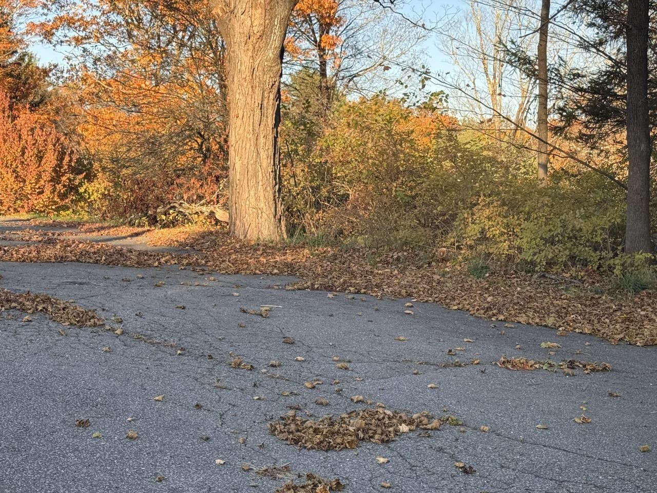 821 Highway 9 Chesterfield, NH 03466 - Photo 47 of 48