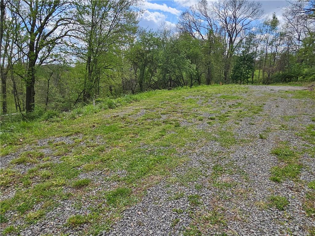 138 Center Drive Chicora, PA 16025 - Photo 25 of 25 a big yard with lots of green space and deers