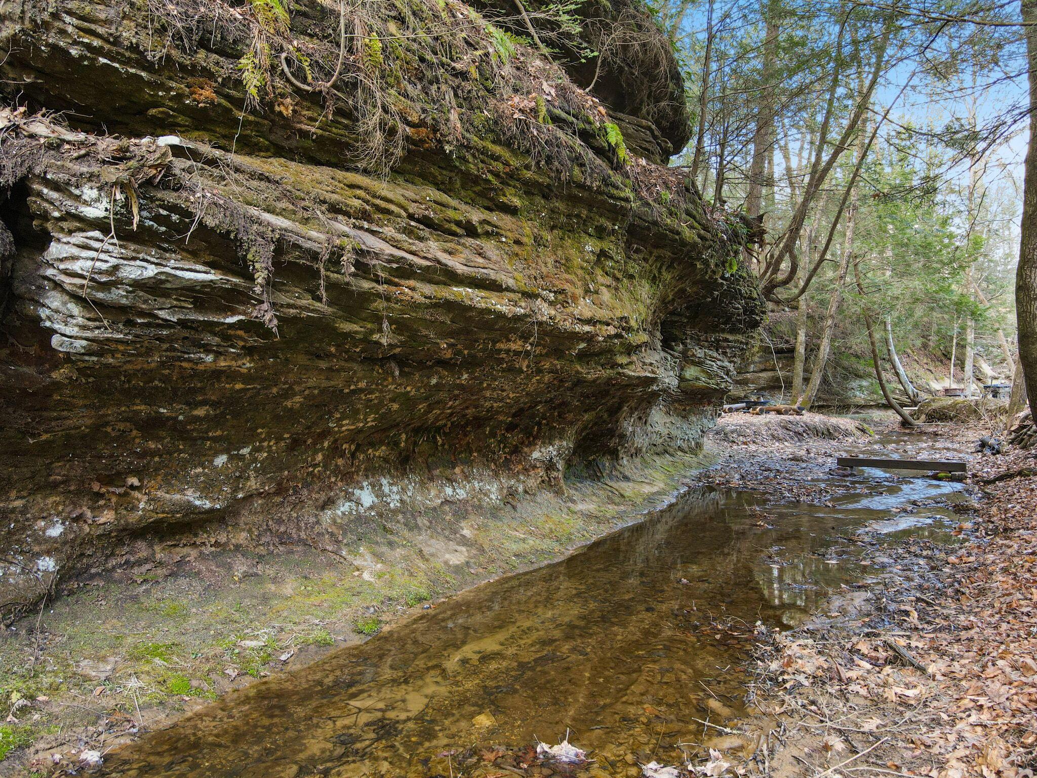9385 Rich Hollow Road Southwest Lancaster, OH 43130 - Photo 112 of 146 71-web-or-mls-DJI_0674