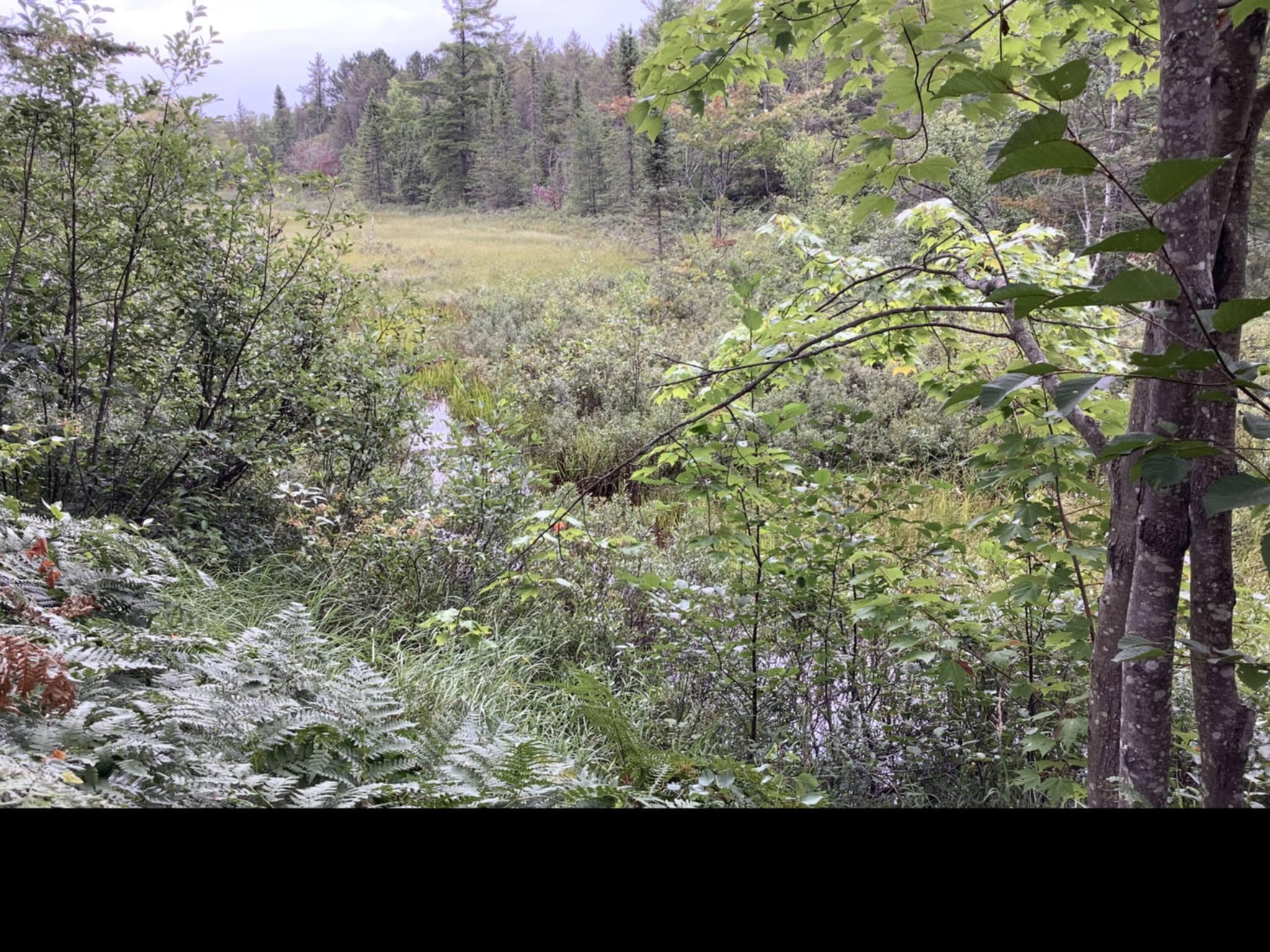 15460 North Whitefish Point Road Paradise, MI 49768 - Photo 40 of 41 Gallery Image 40