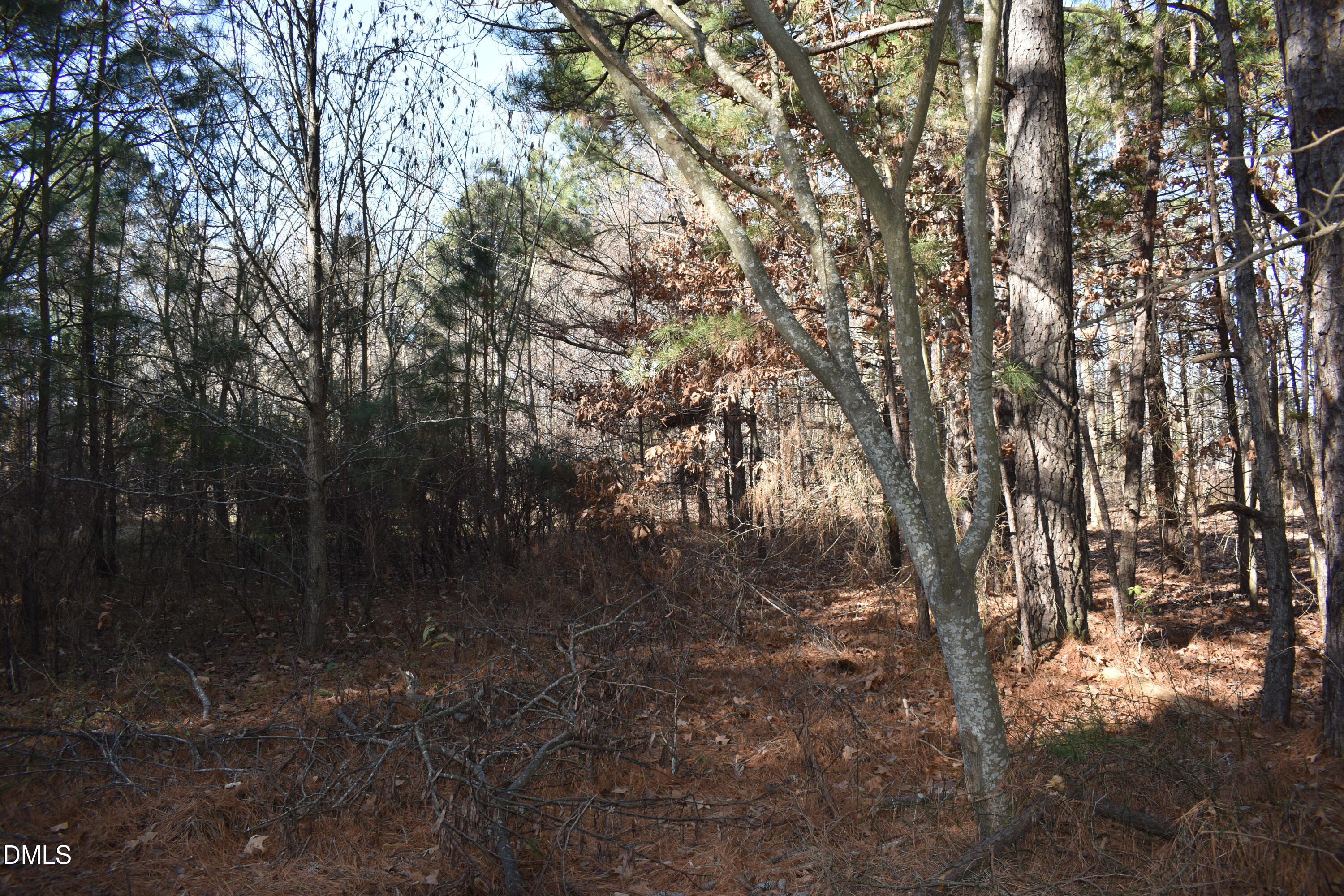 806 Carpenter Fletcher Road Durham, NC 27713 - Photo 2 of 5