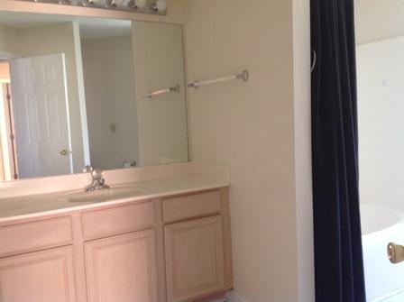 609 Ransom Village Way Antioch, TN 37013 - Photo 9 of 13 Master bath with tub-shower combination and walk in closets