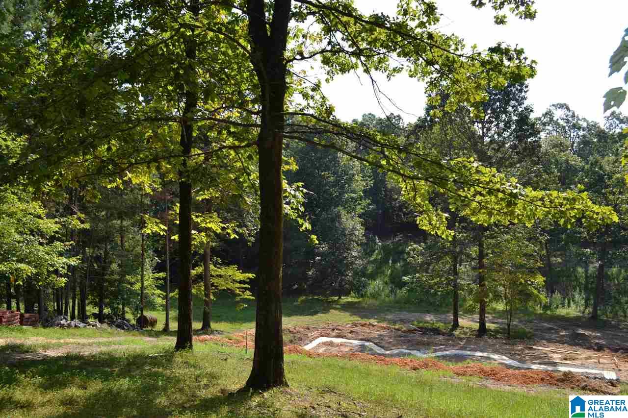 6 Pawnee Drive Pelham, AL 35124 - Photo 14 of 14