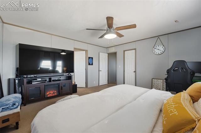 30890 Ken View Yoder, CO 80864 - Photo 4 of 18 Bedroom with carpet, a glass covered fireplace, and a ceiling fan