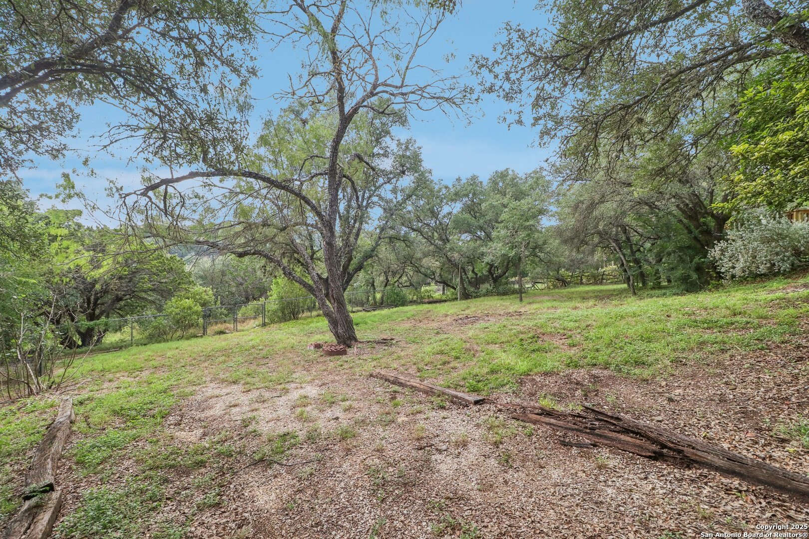20211 County Road 174 Helotes, TX 78023 - Photo 44 of 45 a view of a yard with a tree