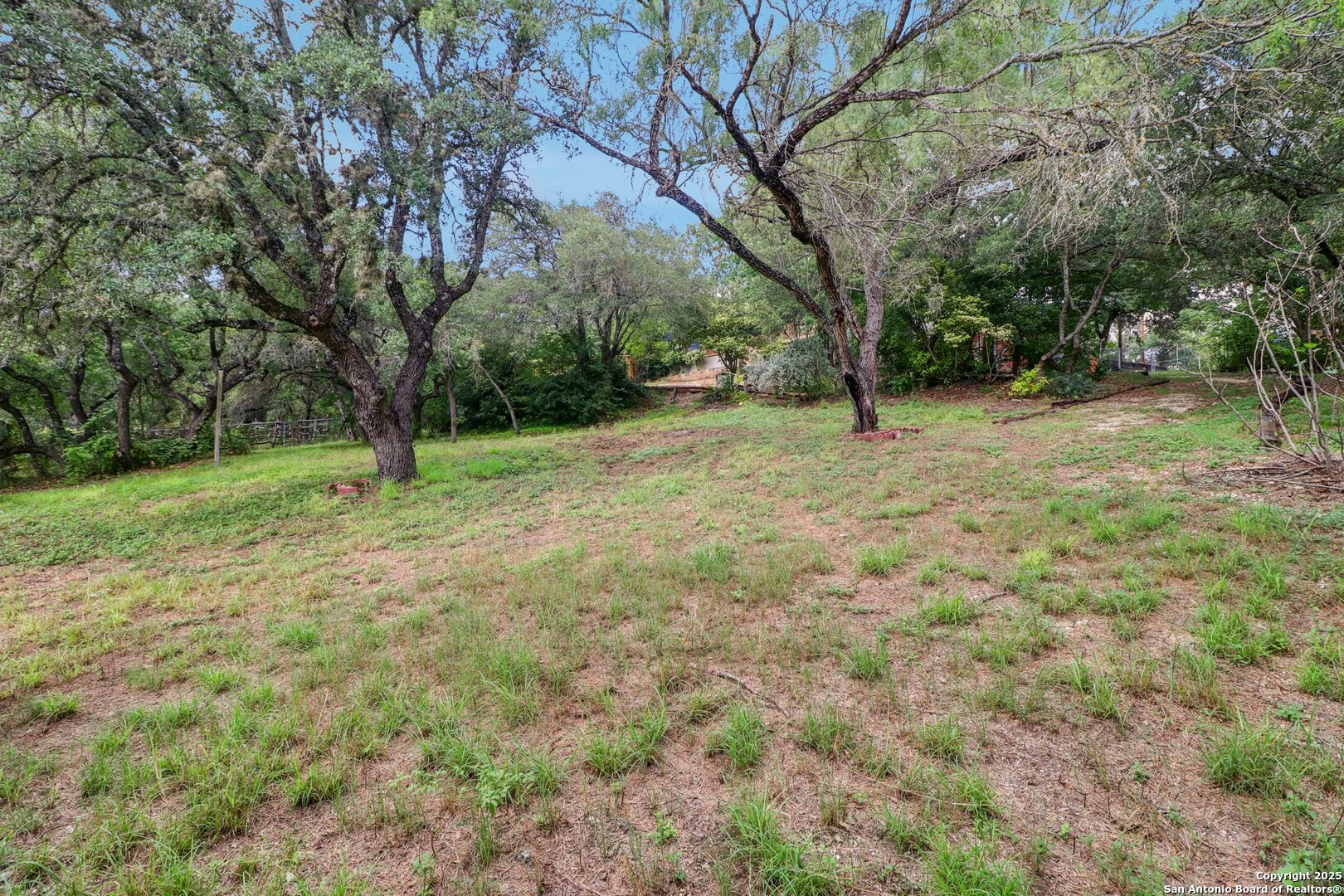 20211 County Road 174 Helotes, TX 78023 - Photo 45 of 45 a view of outdoor space with trees all around