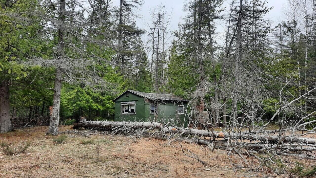 4576 French Road Alpena, MI 49707 - Photo 15 of 17 Gallery Image 15