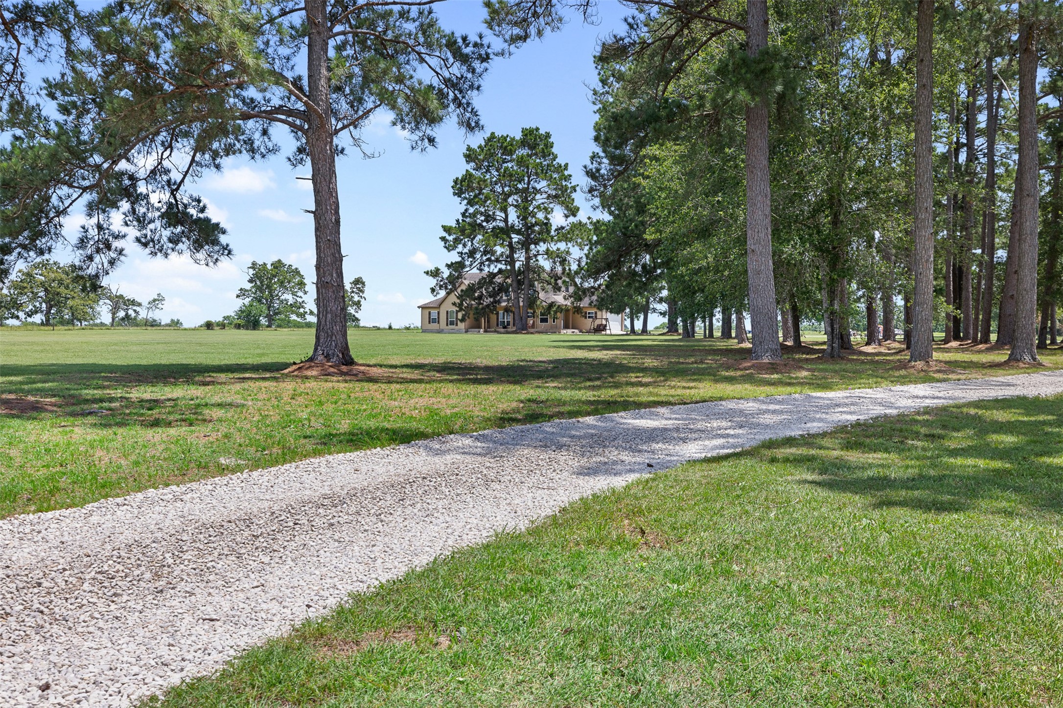 237 Morgan Road Bedias, TX 77831 - Photo 1 of 50