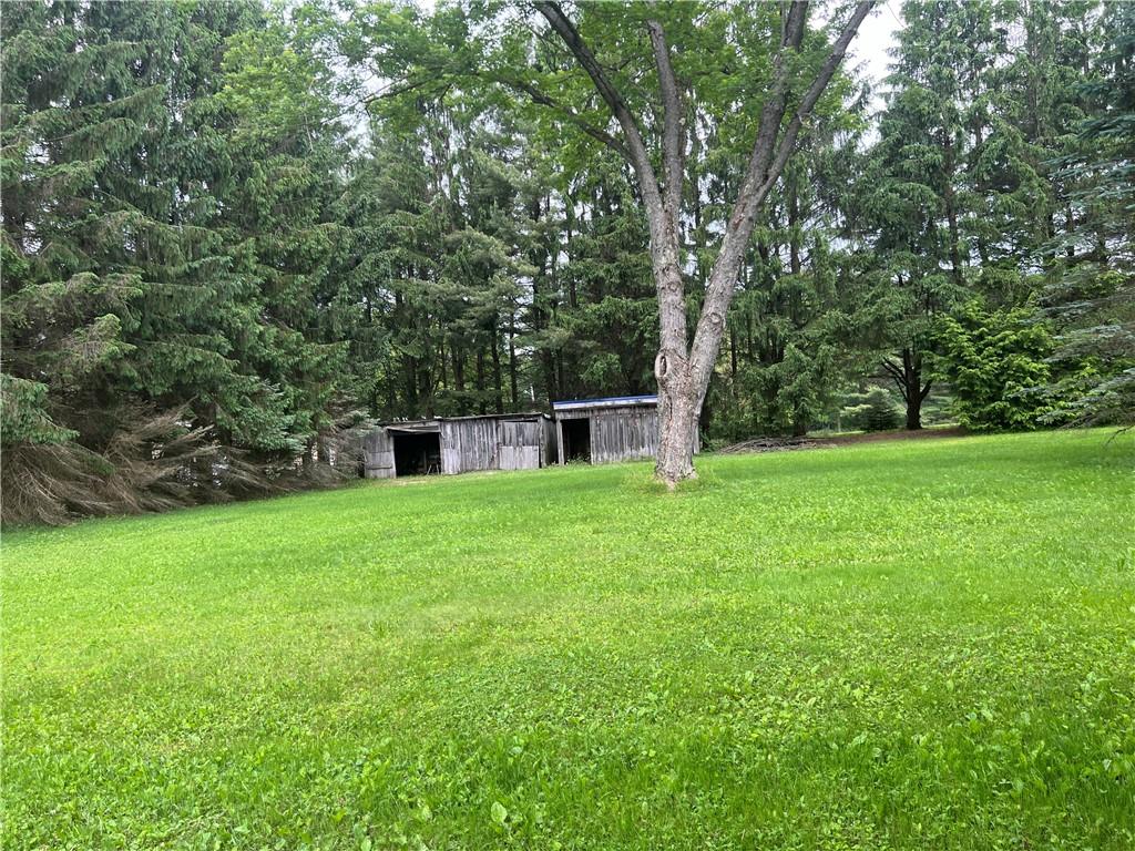 327 Beers Road Sigel, PA 15860 - Photo 10 of 29 Gallery Image 10