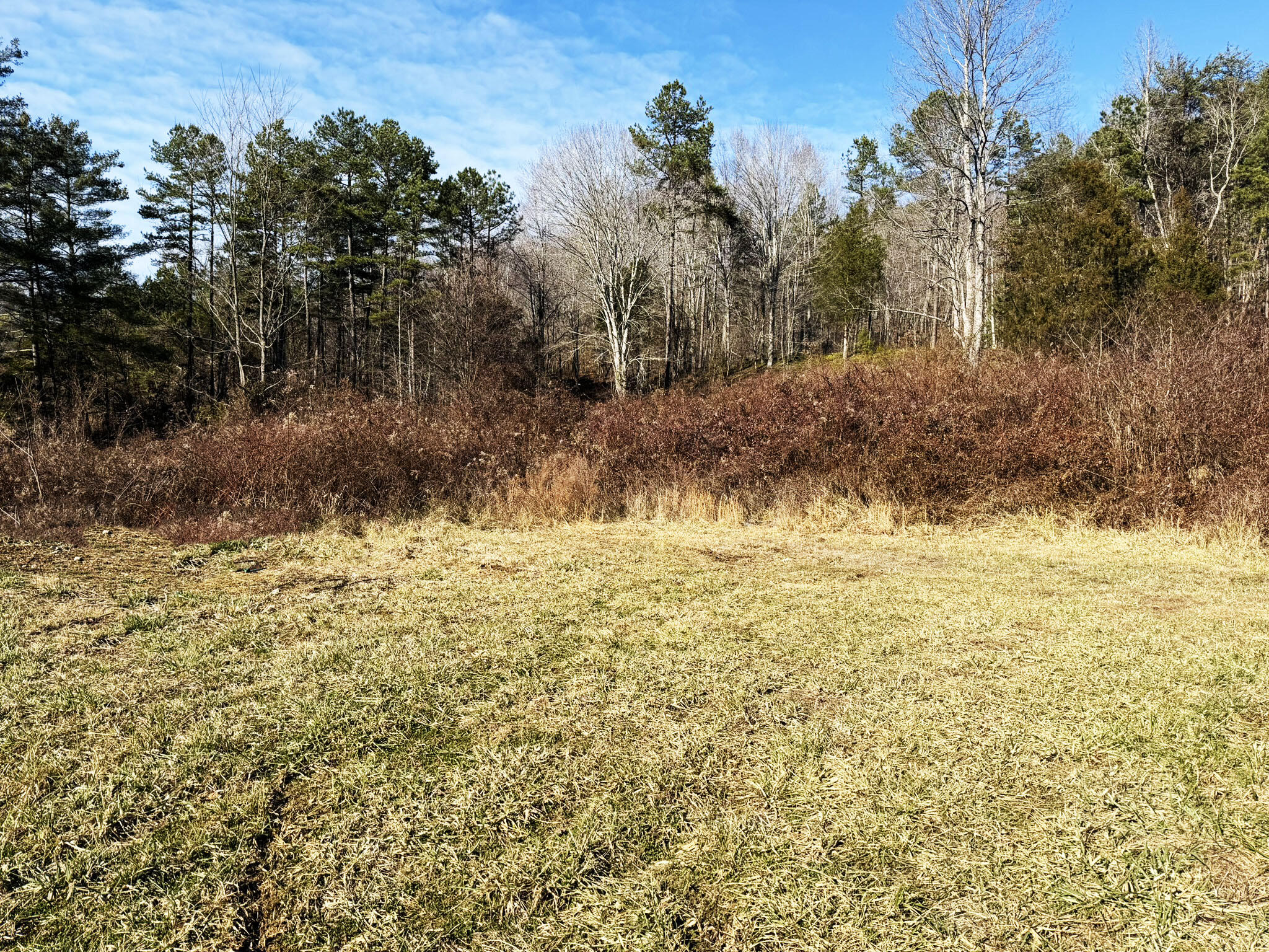 9999 Judd Road Booneville, KY 41314 - Photo 12 of 13 Level building site!