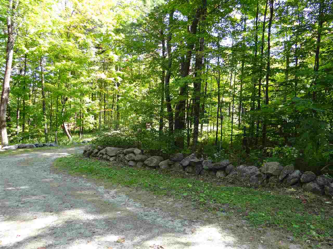 287 Hogg Hill Road Springfield, NH 03284 - Photo 1 of 10