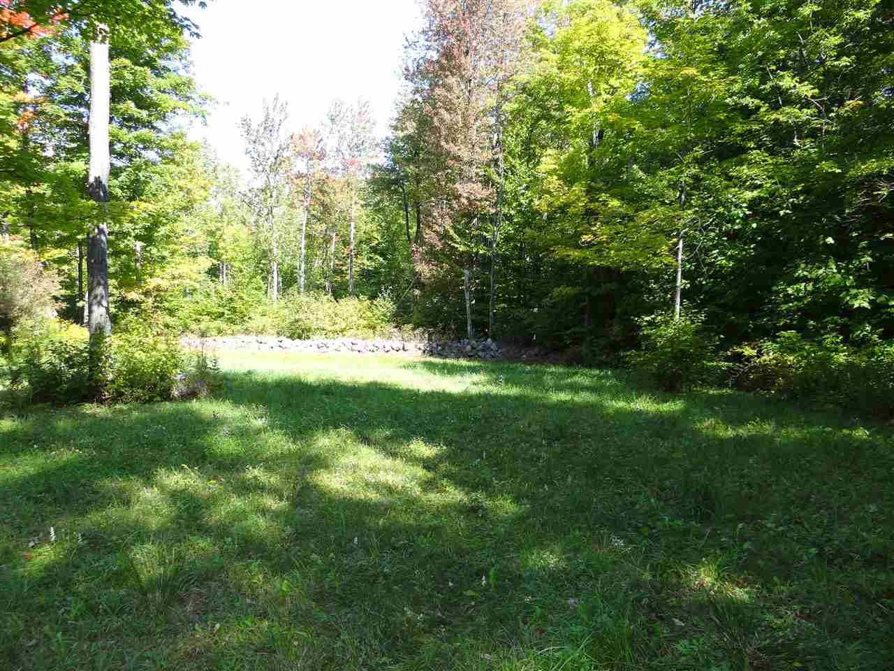 287 Hogg Hill Road Springfield, NH 03284 - Photo 2 of 10