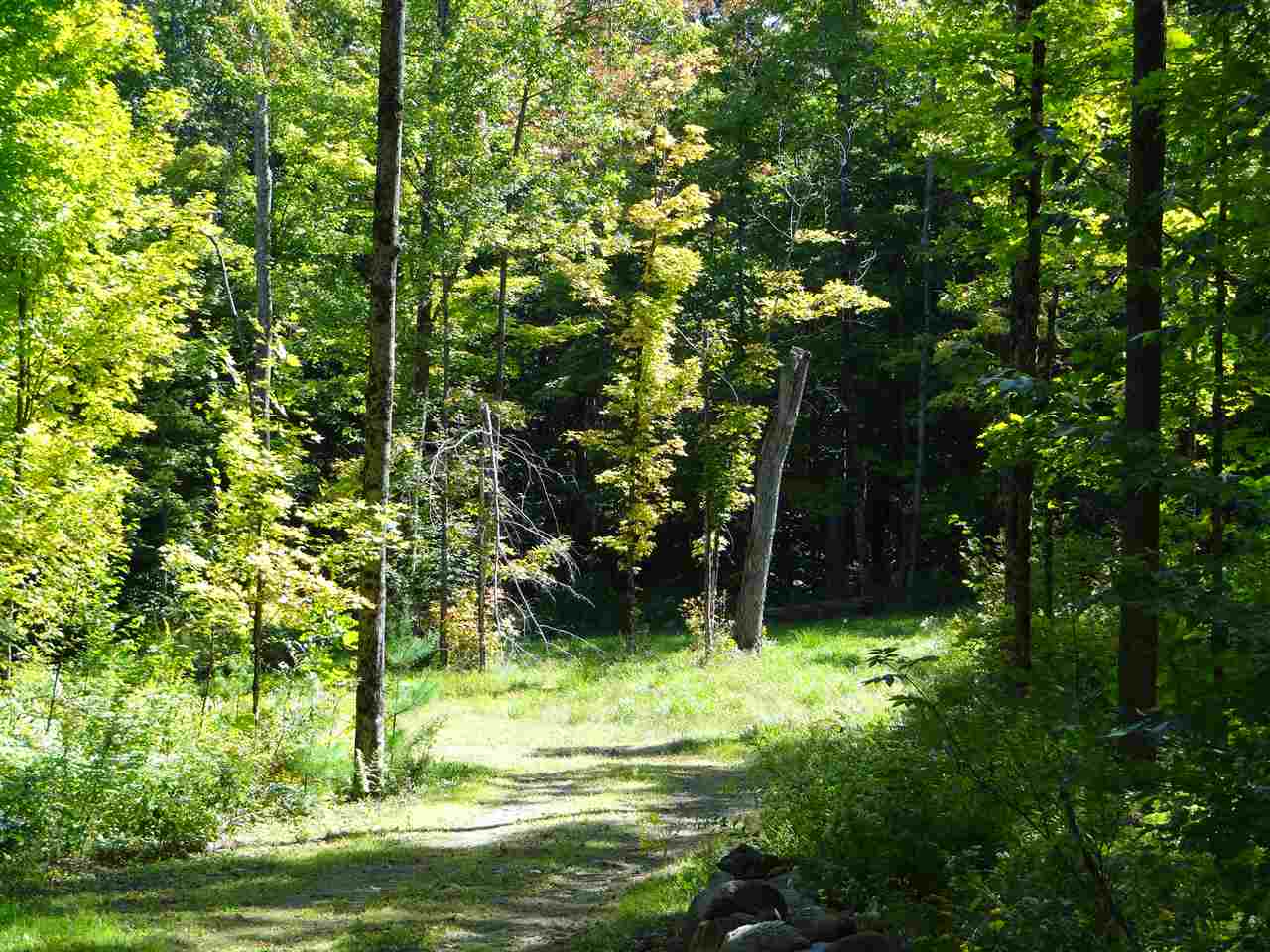 287 Hogg Hill Road Springfield, NH 03284 - Photo 4 of 10