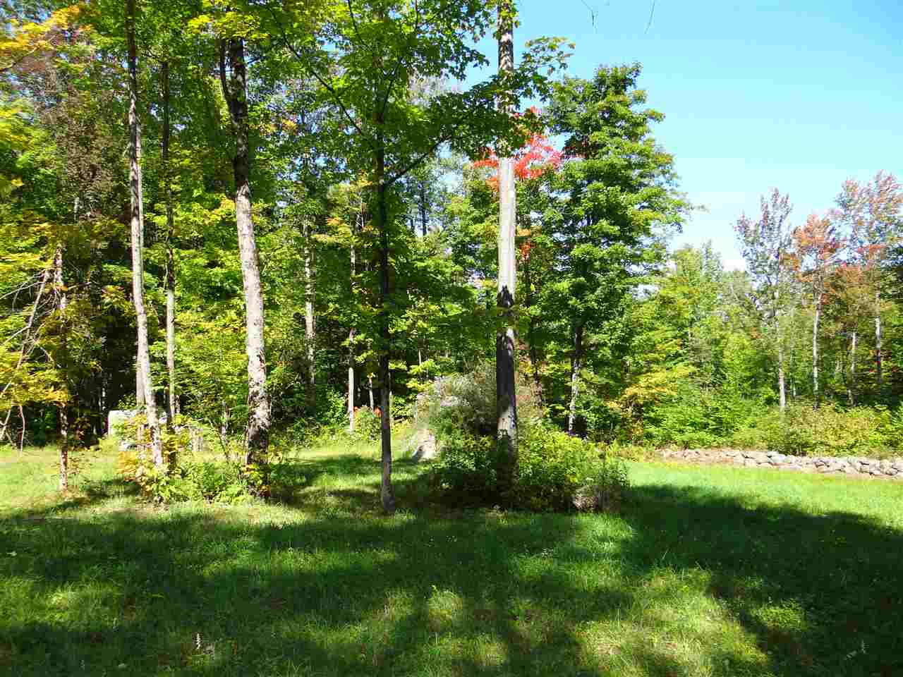 287 Hogg Hill Road Springfield, NH 03284 - Photo 8 of 10