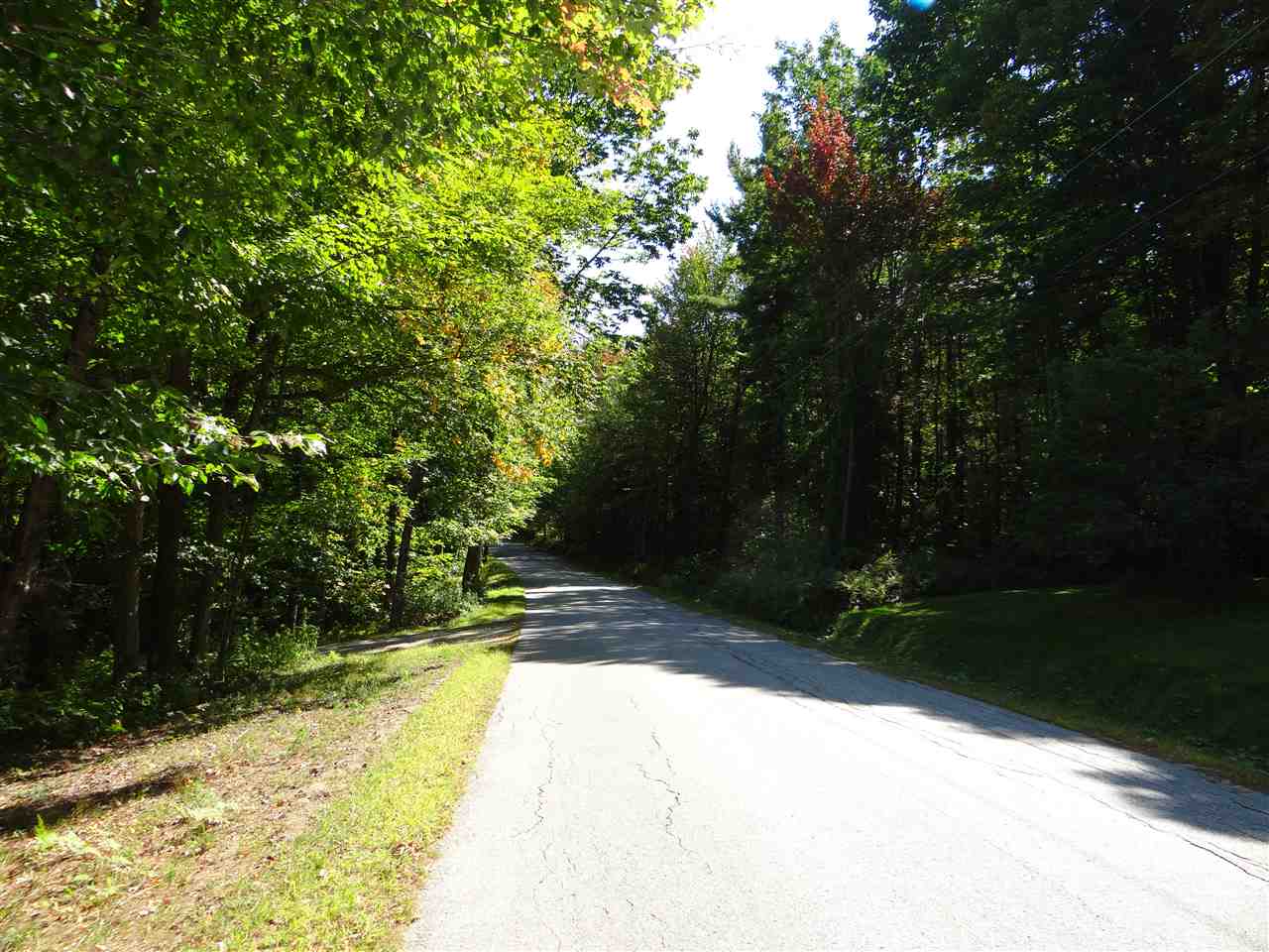 287 Hogg Hill Road Springfield, NH 03284 - Photo 10 of 10