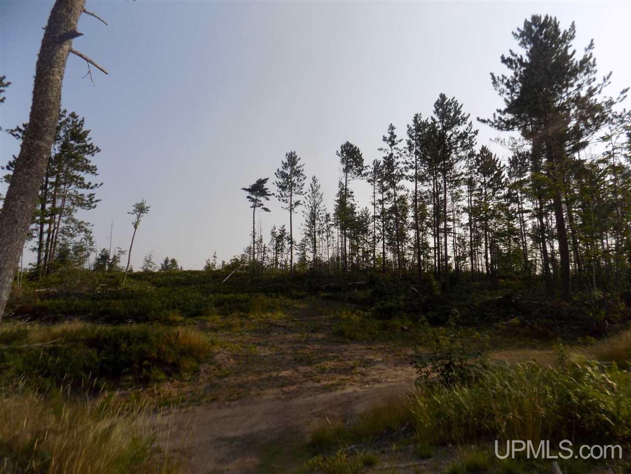 Off Off Co Road Ishpeming, MI 49849 - Photo 10 of 18