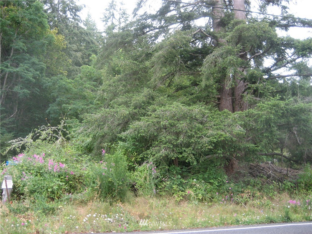 2911 East Andreason Road Langley, WA 98260 - Photo 1 of 13 Gallery Image 1
