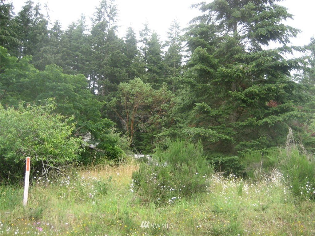 2911 East Andreason Road Langley, WA 98260 - Photo 4 of 13 Gallery Image 4