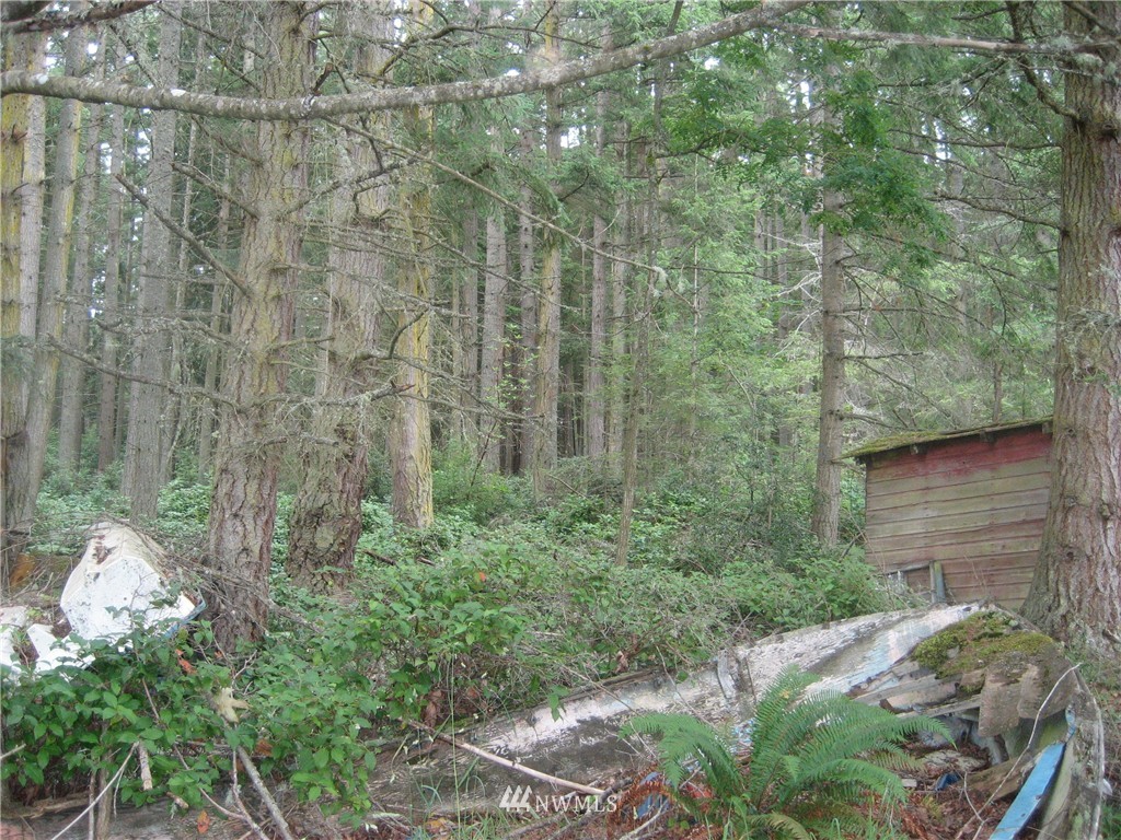 2911 East Andreason Road Langley, WA 98260 - Photo 7 of 13 Gallery Image 7