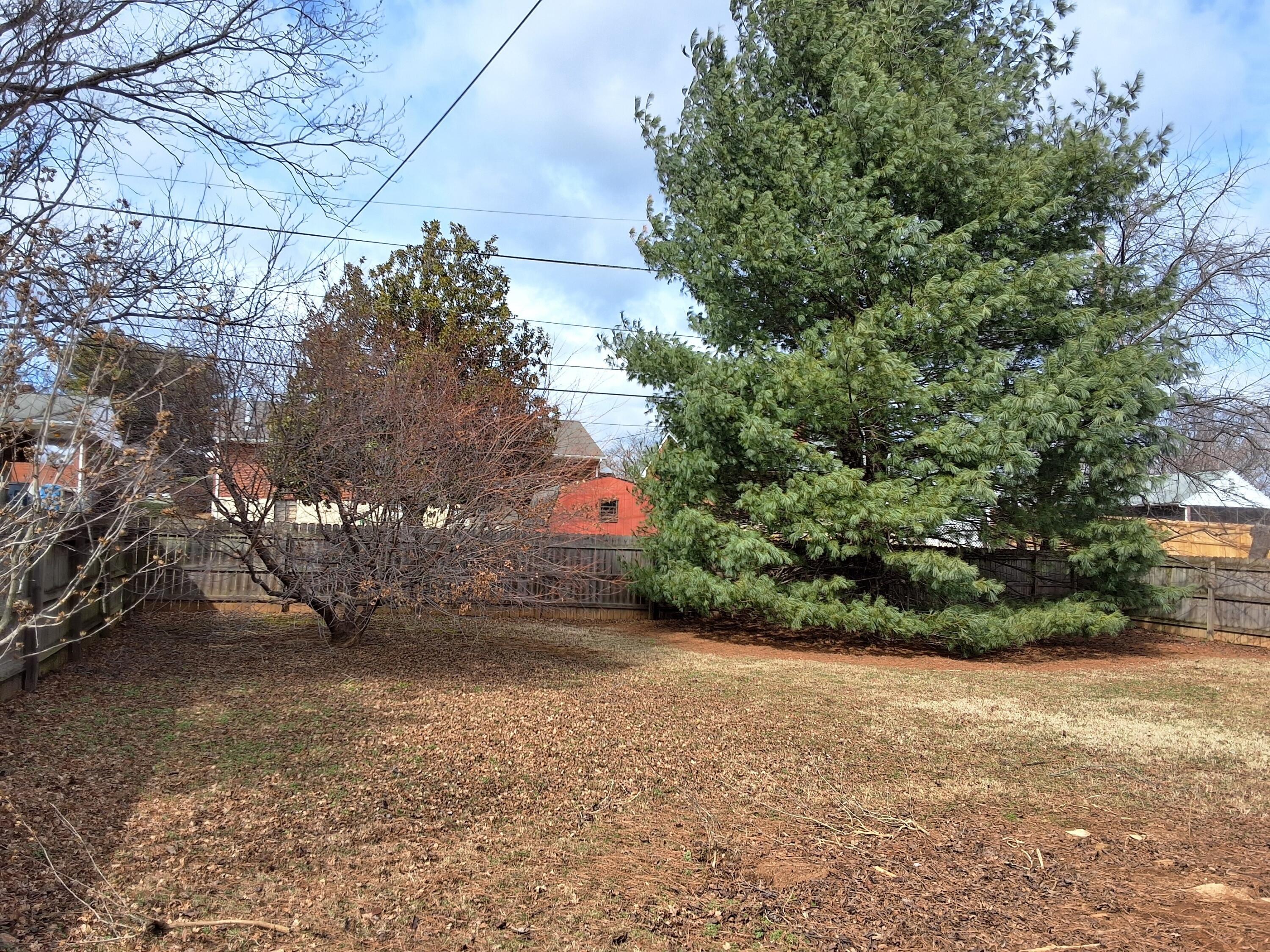 2639 Edgewood Street Southwest Roanoke, VA 24015 - Photo 8 of 12 a backyard of a house with lots of green space