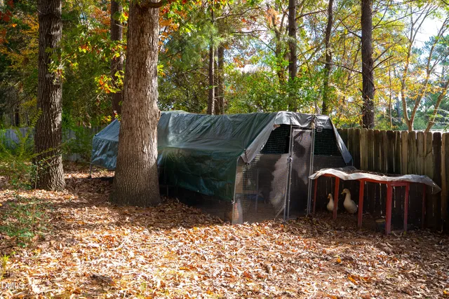 a view of a yard with large trees