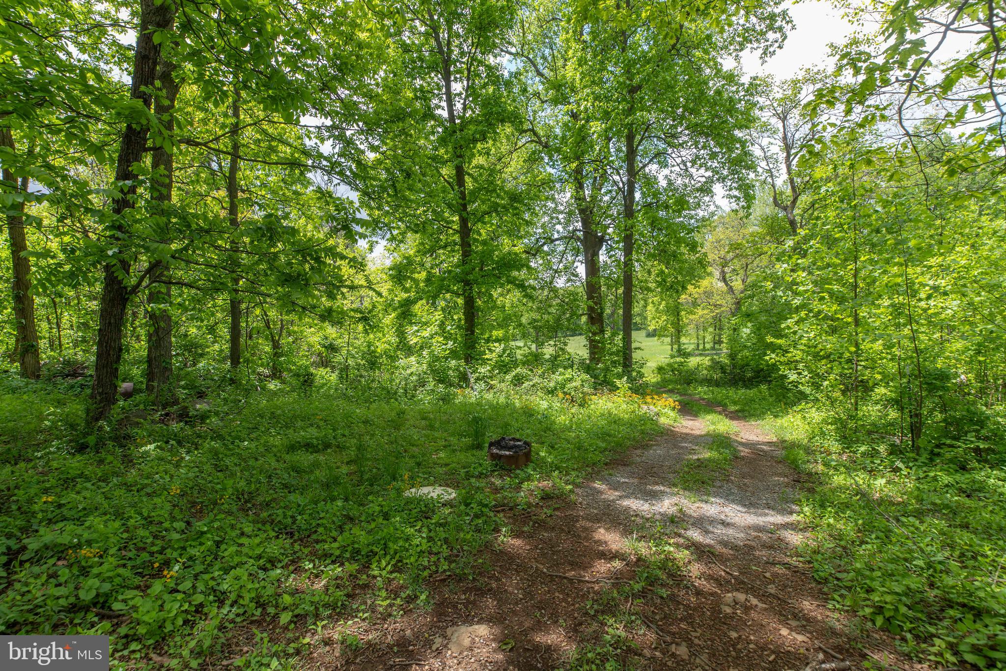 20711 Blue Ridge Mountain Road Paris, VA 20130 - Photo 72 of 82