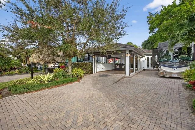 a view of a park that has a large tree