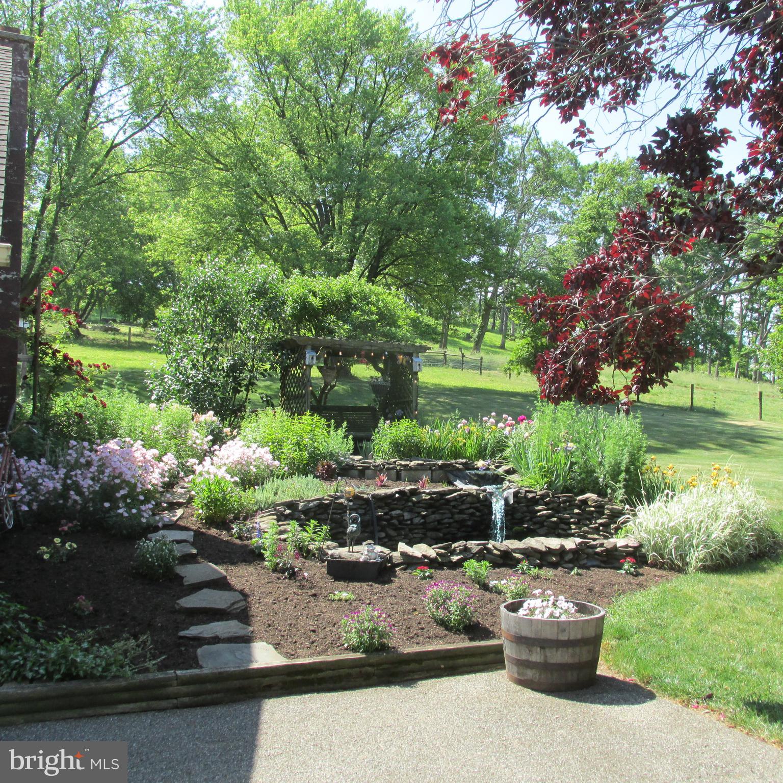 6086 Beaver Dam Road Narvon, PA 17555 - Photo 16 of 47 Fish Pond