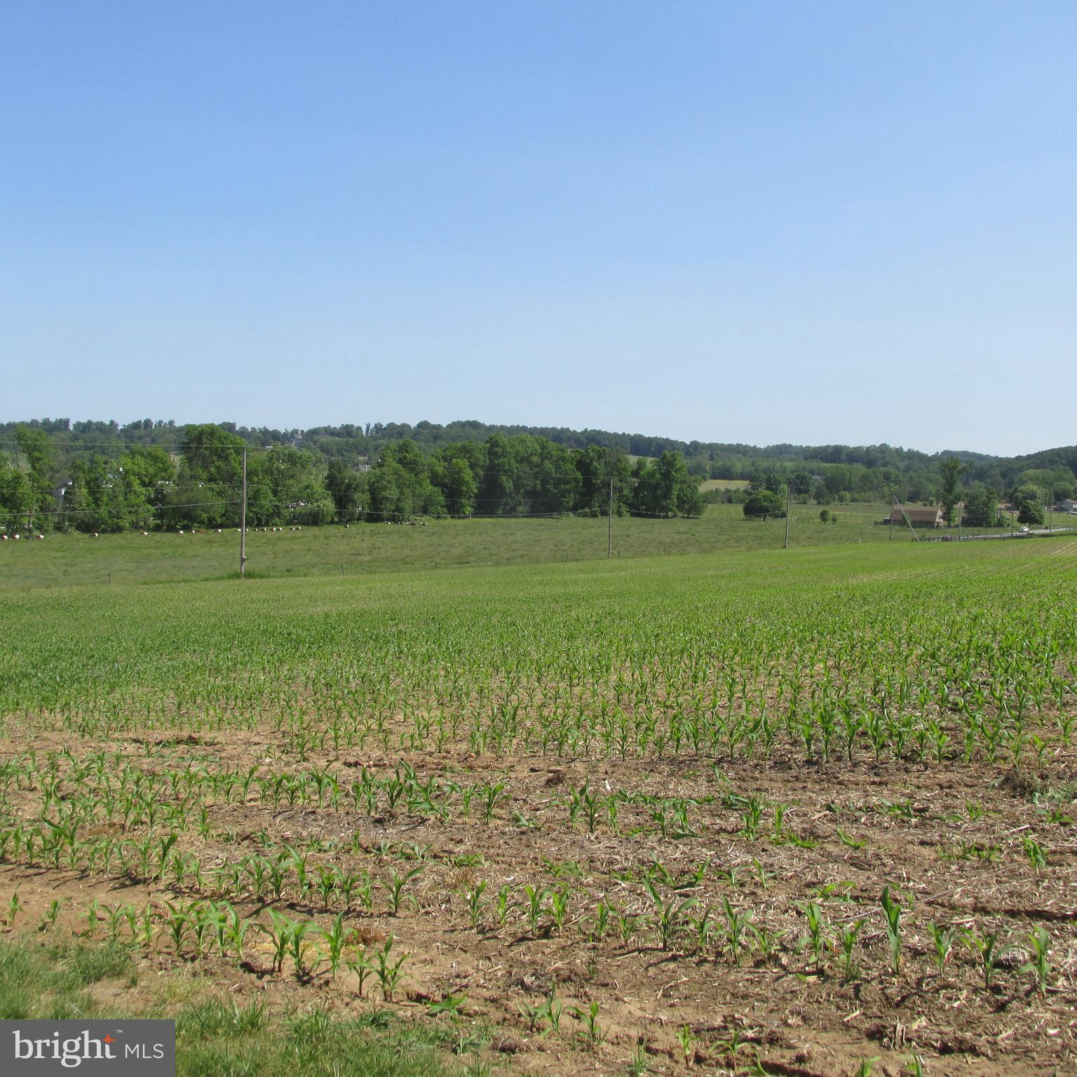 6086 Beaver Dam Road Narvon, PA 17555 - Photo 22 of 47 Front View