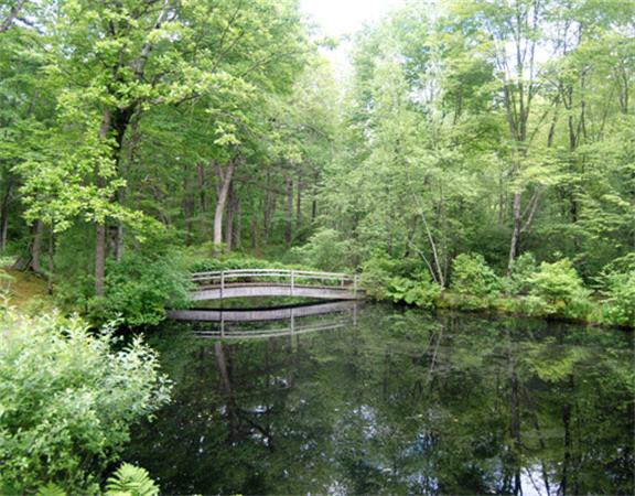 88 Cliff Road Weston, MA 02493 - Photo 10 of 13