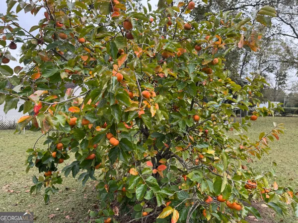 a house view with a garden space