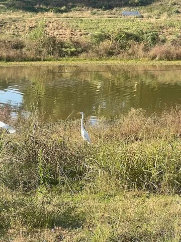 a view of a lake view