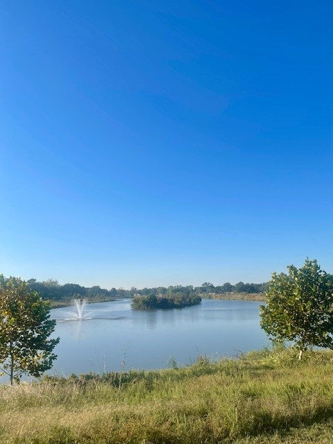 1517 Ramada Drive, Unit 1517 Houston, TX 77062 - Photo 18 of 19