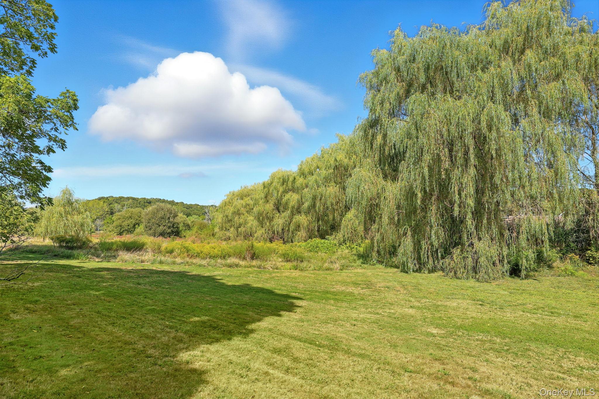 11 Carriage House Road Waccabuc, NY 10597 - Photo 33 of 39 a view of a green field