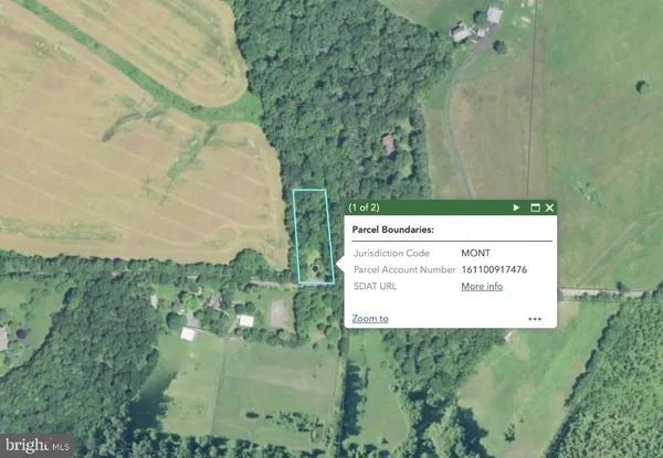 a view of a garden from a bench