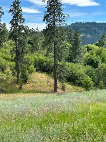 $110,500 | Nka Sunnyside Bench Road, Lenore, ID 83541