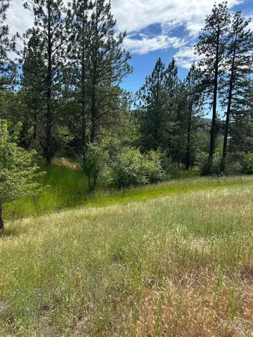 $110,500 | Nka Sunnyside Bench Road, Lenore, ID 83541