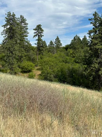 $110,500 | Nka Sunnyside Bench Road, Lenore, ID 83541